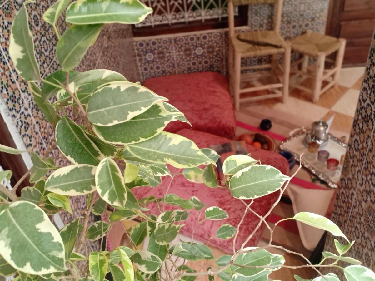 Riad White House Marrakesch Exterior foto